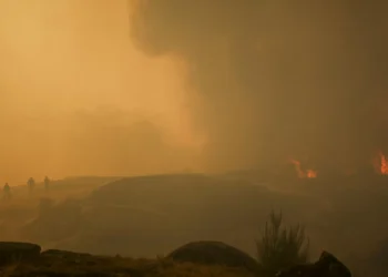 Meo coloca viatura de apoio em Sernancelhe e Sátão para melhorar cobertura