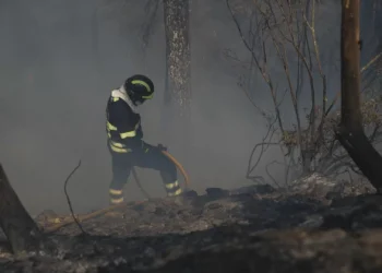 “Dominada a maior parte do perímetro do incêndio” na Covilhã
