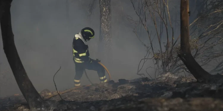 “Dominada a maior parte do perímetro do incêndio” na Covilhã