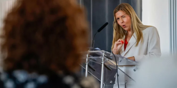 Ministério da Cultura vai alterar regras de atribuição de subsídios