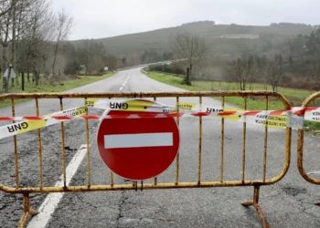 Incêndio em Leiria: Restabelecida circulação na EN113