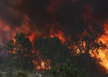 Uma frente ativa na Guarda que também está em alerta com fogo vindo do Sabugal