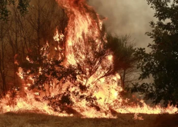 Mais de 1.700 operacionais combatem quatro incêndios mais preocupantes