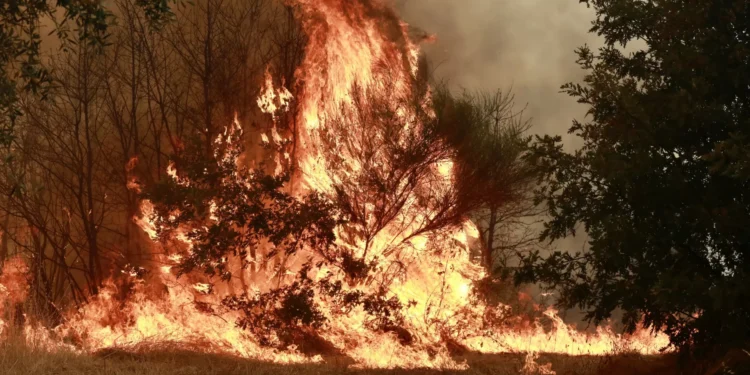 Mais de 1.700 operacionais combatem quatro incêndios mais preocupantes