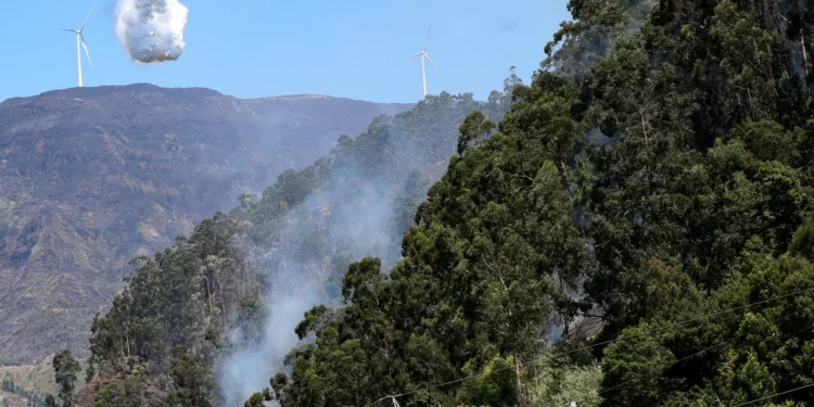 Proteção Civil da Madeira alerta para perigo de incêndios devido a calor
