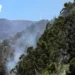 Proteção Civil da Madeira alerta para perigo de incêndios devido a calor
