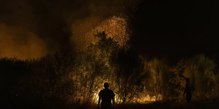 Vento e projeções dificultam combate em Sabrosa. Canil foi evacuado