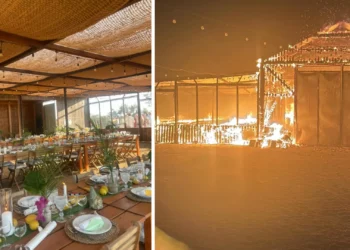 “É indescritível”. Monte turístico de Grândola foi consumido pelo fogo