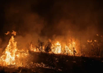 Tarouca com incêndio dominado apesar de manter pequena frente