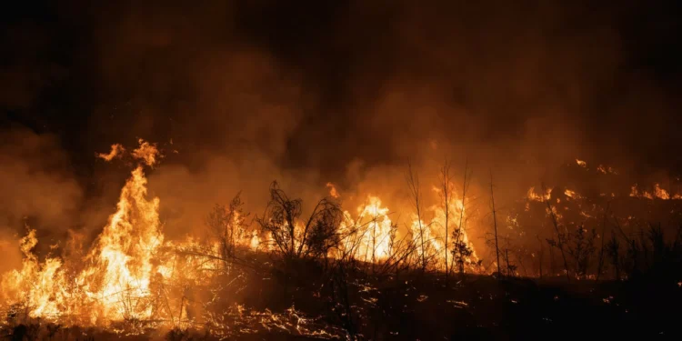 Tarouca com incêndio dominado apesar de manter pequena frente