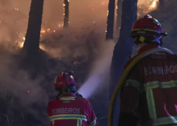 Área ardida em Chaves poderá ultrapassar os 3.000 hectares