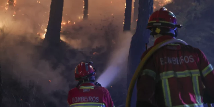 Área ardida em Chaves poderá ultrapassar os 3.000 hectares