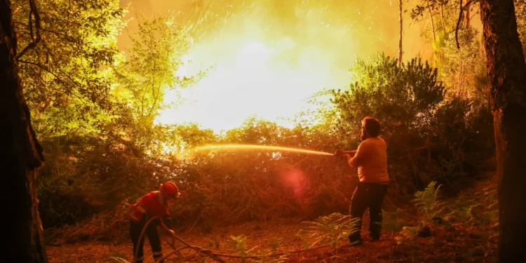 Incêndios em Vila Verde, Cabeceiras e Sabrosa são os que mais preocupam