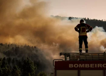 Calamidade e pacto de regime para incêndios: Os pedidos dos autarcas ao Governo