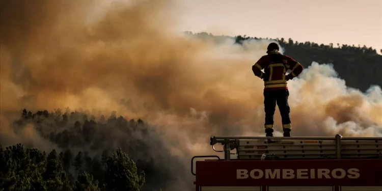 Calamidade e pacto de regime para incêndios: Os pedidos dos autarcas ao Governo