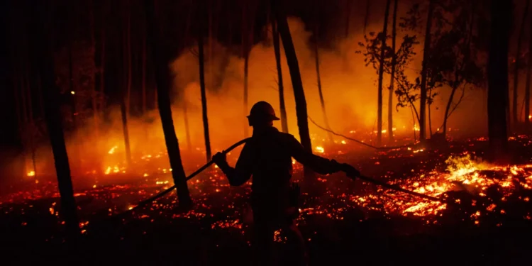 Fogo em Vila Flor mantém uma frente ativa mas perdeu intensidade