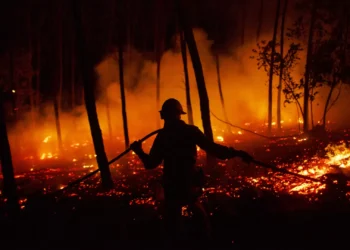 Fogo em Vila Flor mantém uma frente ativa mas perdeu intensidade