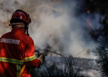 Reforço de meios em Vila Real. Frente de Mondim de Basto é “mais extensa”