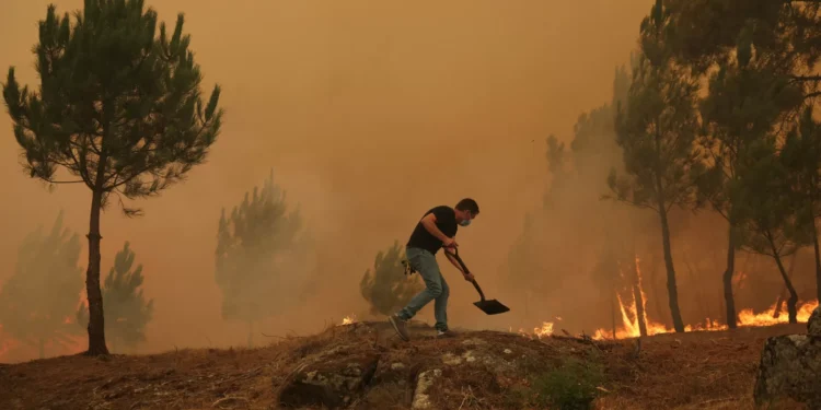 Frente de fogo em Arganil em perigo de chegar à Pampilhosa da Serra
