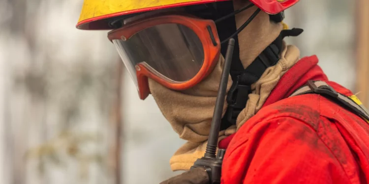 “Mato queimado”. Incêndio em Vila Verde em resolução