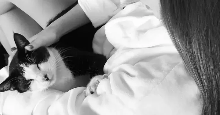 Final Feliz: o reencontro de Marina Ruy Barbosa e seu gato João. “É como meu filho”