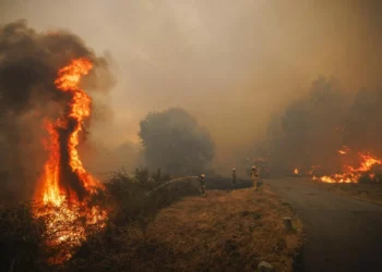 Mais de 2 mil operacionais combatem incêndios: Chuva dá uma ajuda em Vila Real