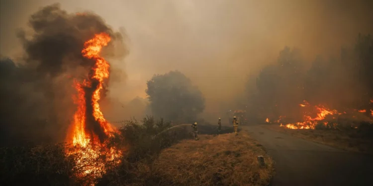 Mais de 2 mil operacionais combatem incêndios: Chuva dá uma ajuda em Vila Real