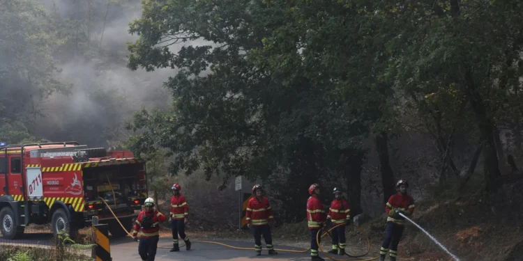 Ponte da Barca com frente a arder com “intensidade”. Sem casas em risco