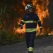 Incêndios. Ex-diretor de Recursos Florestais critica falta de aproveitamento de biomassa