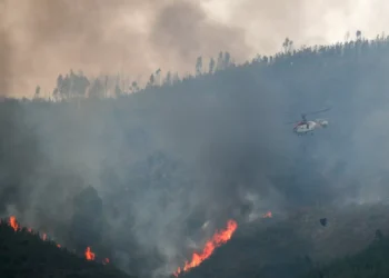 Incêndio em Montalegre dado como dominado
