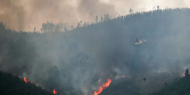 Incêndio em Montalegre dado como dominado