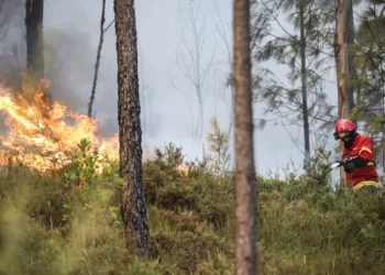 Fogos controlados no país: Não há “ocorrências significativas ativas”