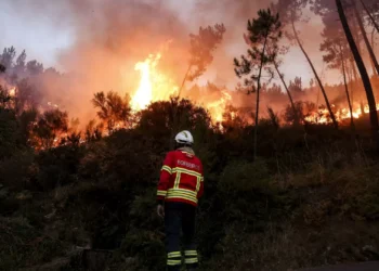 Castro Daire com duas frentes ativas e a arder com intensidade