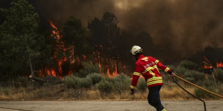 Restabelecida circulação na EN113, cortada devido ao incêndio