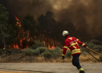 Restabelecida circulação na EN113, cortada devido ao incêndio
