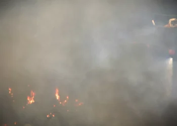 Autarca defende importância de “manter a vigilância” na Peneda-Gerês