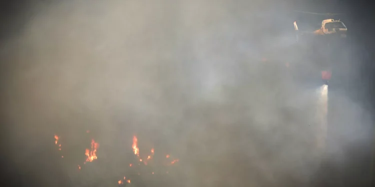 Autarca defende importância de “manter a vigilância” na Peneda-Gerês