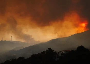 Dominado fogo de Vila Real