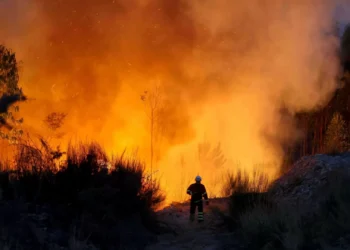 Mais de 300 operacionais no combate às chamas em Ermidas-Sado