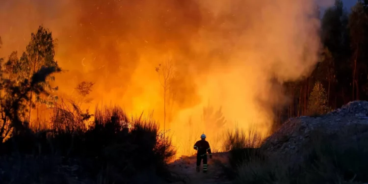 Mais de 300 operacionais no combate às chamas em Ermidas-Sado