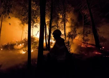 Estado tem 10 aeronaves para combater fogos ‘paradas’ por falta de kits