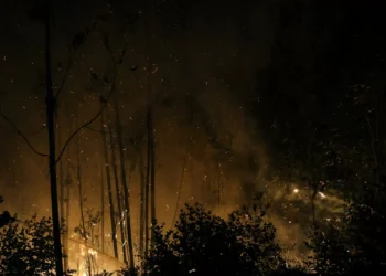 Incendiários? Perfil aponta para homens, com baixa literacia e alcoólicos
