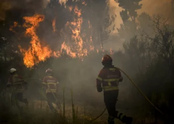 Frente ativa controlada e maior parte do perímetro dominado na Covilhã