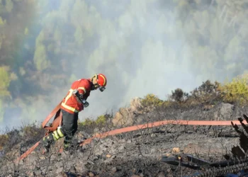 “Difícil”. Fogo em Celorico de Basto mobiliza mais de 250 operacionais