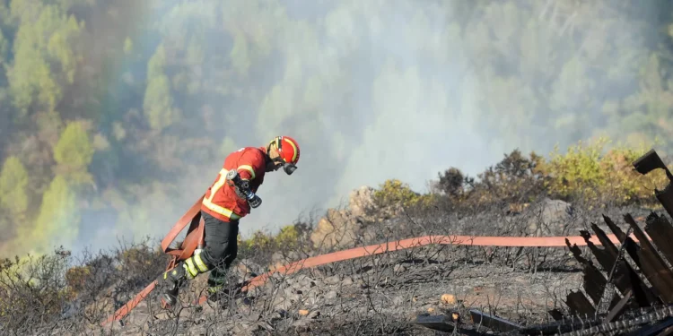 “Difícil”. Fogo em Celorico de Basto mobiliza mais de 250 operacionais