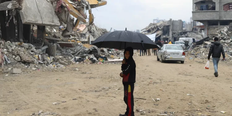 Movimento Ocupy for Gaza envia 2.000€/mês para ajudar famílias em Gaza