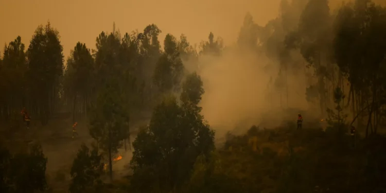 Incêndio em Vila Real com meios reforçados. Há três frentes ativas