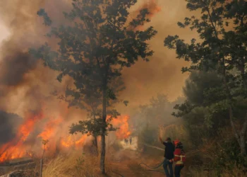 Um quarto dos fogos investigados este ano teve como origem fogo posto