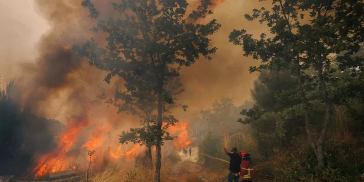 Um quarto dos fogos investigados este ano teve como origem fogo posto