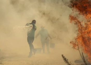 Fogo no Fundão com origem em Arganil entrou em Castelo Branco